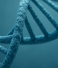 Fighting complex conditions: The Synthetic Human Genome project
