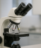 Artificial Intelligence and the Future of Drug Discovery